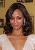 2010 Critic's Choice Movie Awards